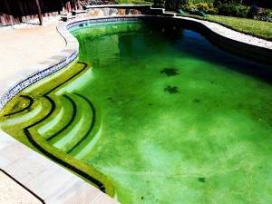 Why Does My Pool Turn Green After Rain?